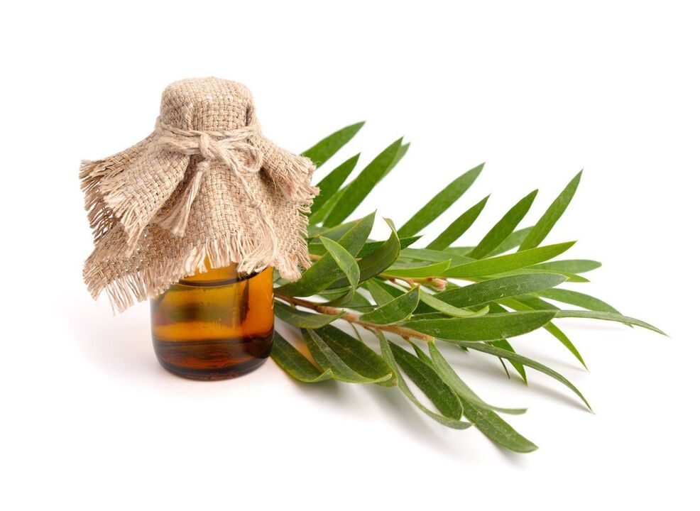 Olio dell'albero del tè come parte della crema zxcvbnmqwert